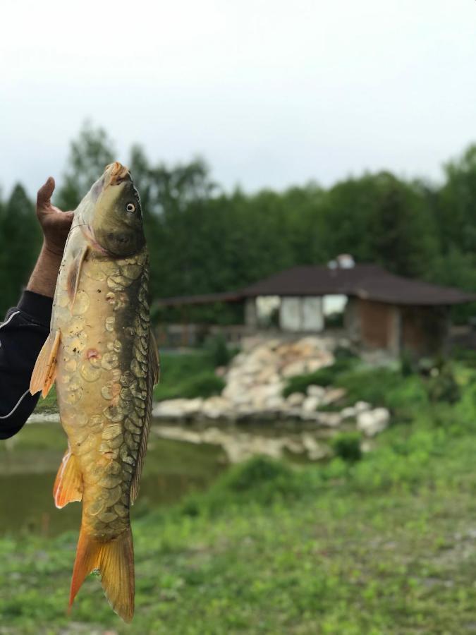 Диброва Dibrova  Экстерьер фото