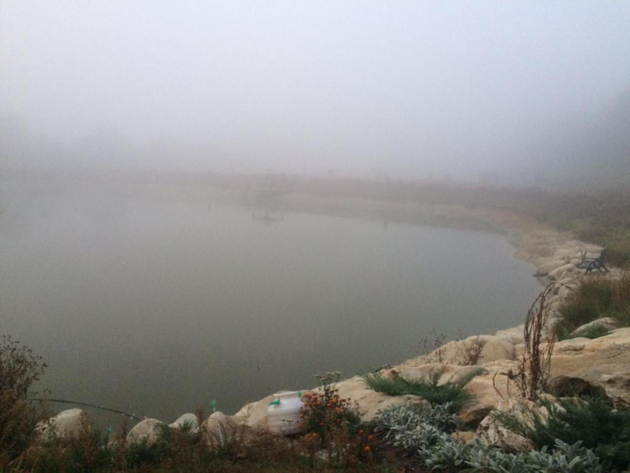Диброва Dibrova  Экстерьер фото
