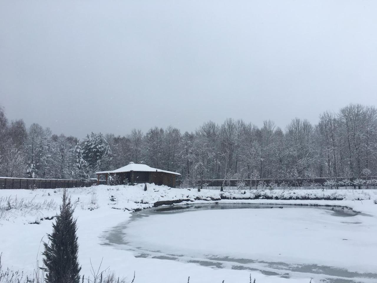 Диброва Dibrova  Экстерьер фото