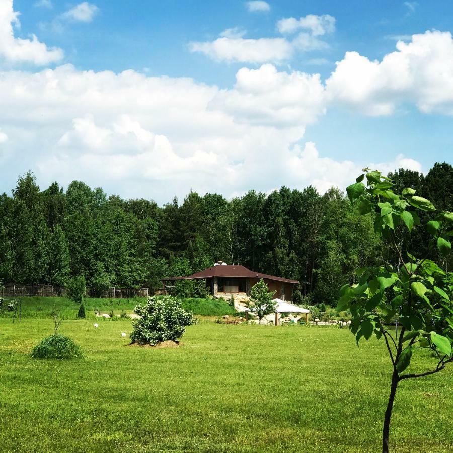Диброва Dibrova  Экстерьер фото