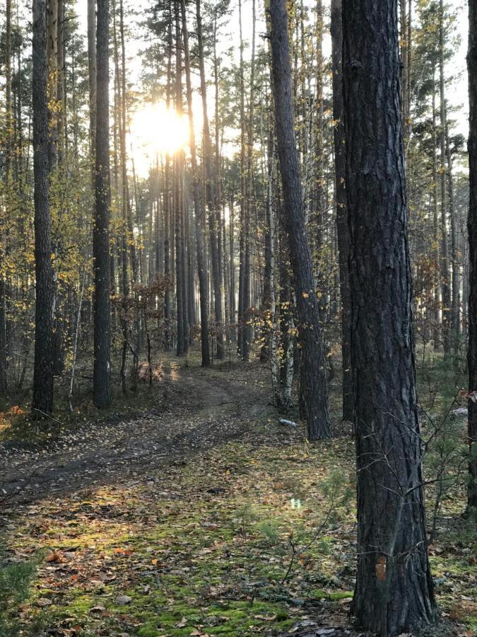 Диброва Dibrova  Экстерьер фото